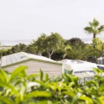 CAMPING-FLORANTILLES_TORREVIEJA_ALICANTECAMPING-FLORANTILLES_TORREVIEJA_ALICANTE