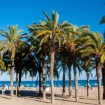 CAMPING-PLAYA-PARAISO-_villajoyosa_alicante