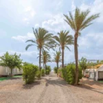 Camping-Tres-Estrellas-Mediterraneo-Chilches-Castellon