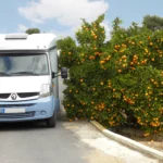 Camping-Orange-Grove-Alfaz-del-Pi-Alicante