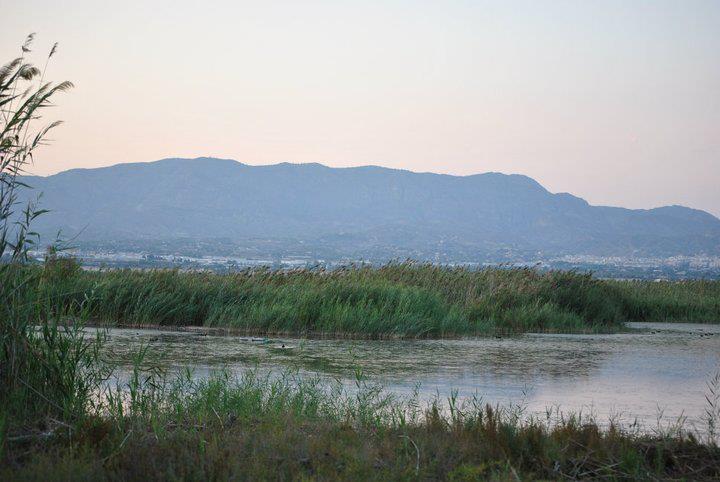 parque natural el hondo_